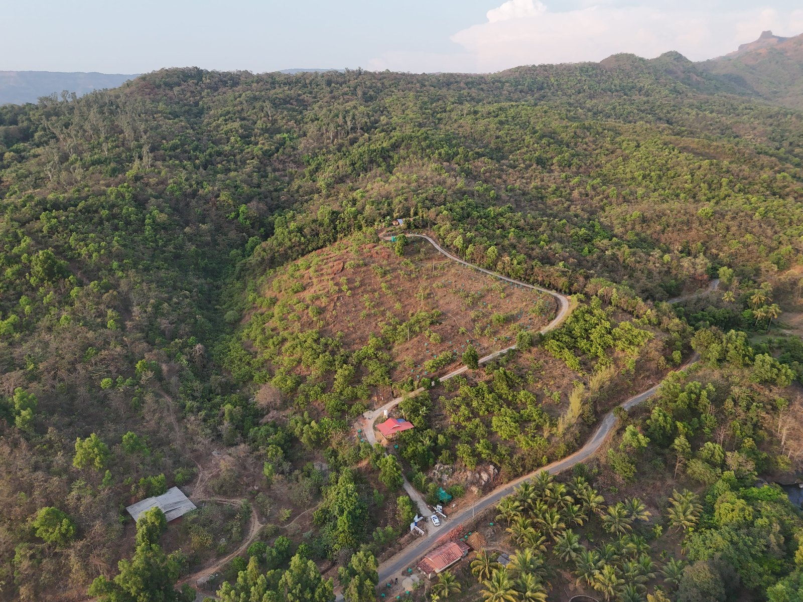 Agricultural Developed Land